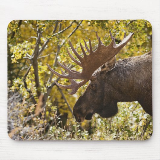 Noble Bull Moose Mousepad (Vorne)