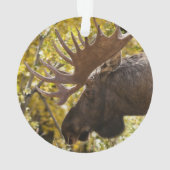 Noble Bull Moose Ornament (Rückseite)