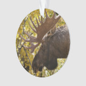 Noble Bull Moose Ornament (Vorderseite)