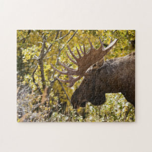Noble Bull Moose Puzzle