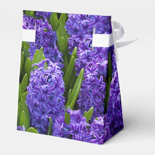 Noble Happy Norooz Hyacinths - Gefälligkeitsbox Ze Geschenkschachtel (Rückseite)