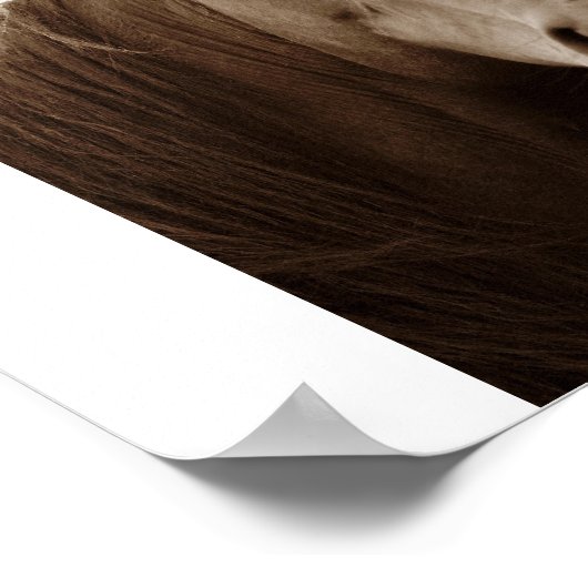 Noble Horse Poster (Ecke)