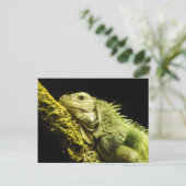 Noble Iguana Postcard Postkarte (Stehend Vorderseite)