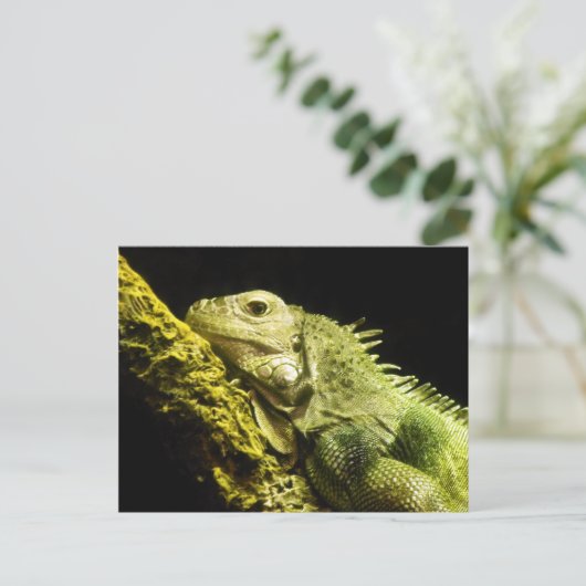 Noble Iguana Postcard Postkarte (Stehend Vorderseite)