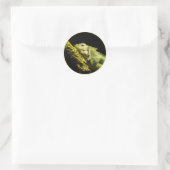 Noble Iguana Stickers (Tasche)