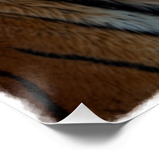 Noble Tiger Painterly Portrait Poster (Ecke)