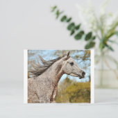 Noble und Stolz Postkarte (Stehend Vorderseite)
