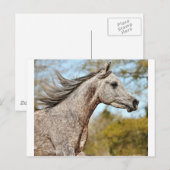 Noble und Stolz Postkarte (Vorne/Hinten)