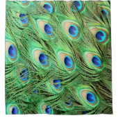 Noble vibrierende Pfau-Federn Duschvorhang (Vorderseite)