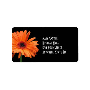 Nobles schwarzes u. orange Gerbera-Gänseblümchen Adressaufkleber