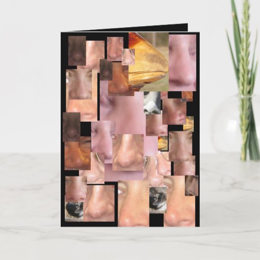 NOBODY NOSE KARTE (Vorderseite)