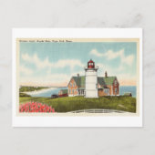 Nobska Light, Woods Hole, Cape Cod, Massachusetts Postkarte (Vorderseite)