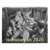 Nobunny im Rückblick auf den Kalender 2026 Edition