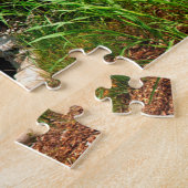 Noccaulula Falls Alabama Puzzle (Seite)