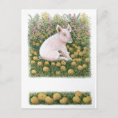 Noch ein Apple Postkarte (Vorderseite)