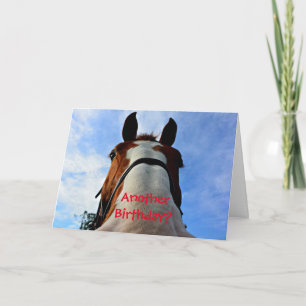 Noch ein Geburtstag? Funny Horse Birthday Card Karte
