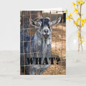 Noch ein Geburtstag? Karte (Gelbe Blume)