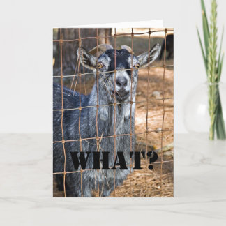 Noch ein Geburtstag? Karte