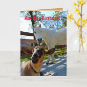 Noch ein Geburtstag?! Mit Pony und Ziege Karte (Gelbe Blume)