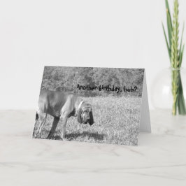 Noch ein Geburtstag, oder? Hunde Geburtstagskarte Einladung