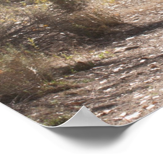 Noch ein Poster am Morgen (Ecke)