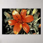 Noch eine Orange Poster (Vorne)