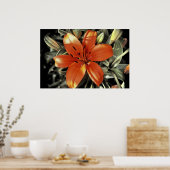 Noch eine Orange Poster (Küche)