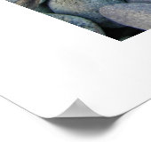 Noch Got Zähne Poster (Ecke)