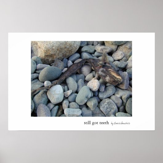 Noch Got Zähne Poster (Vorne)