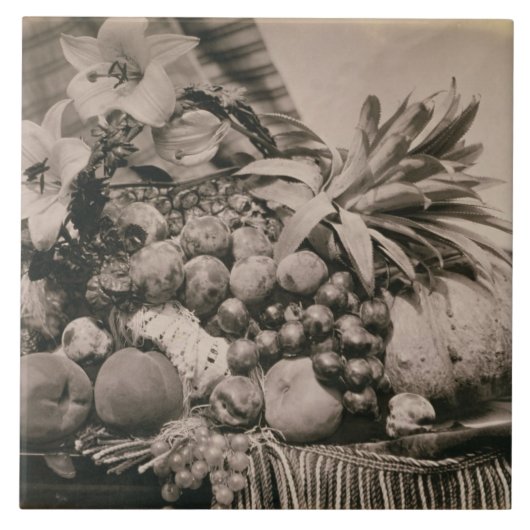 Noch Leben mit Frucht, 1860 (Sepia-Foto) Fliese (Vorderseite)