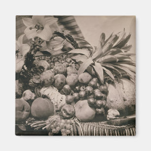 Noch Leben mit Frucht, 1860 (Sepia-Foto) Magnet