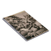 Noch Leben mit Frucht, 1860 (Sepia-Foto) Notizblock (Rechte Seite)