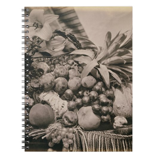 Noch Leben mit Frucht, 1860 (Sepia-Foto) Notizblock (Vorderseite)