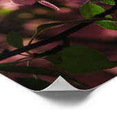 Noch mehr Kirschen Poster (Ecke)