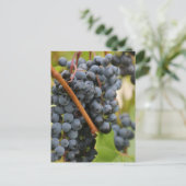 Noch nicht Wein Postkarte (Stehend Vorderseite)