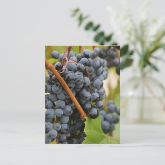 Noch nicht Wein Postkarte (Stehend Vorderseite)