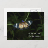 Noch Postkarte (Vorne/Hinten)