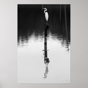 Noch Reflexion Poster