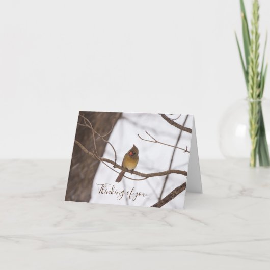 Nochmal, Frau Kardinal denkt an Sie Karte (Vorderseite)