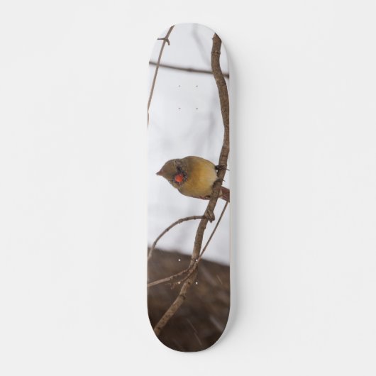 Nochmal, Frau Kardinal Skateboard (Vorne)