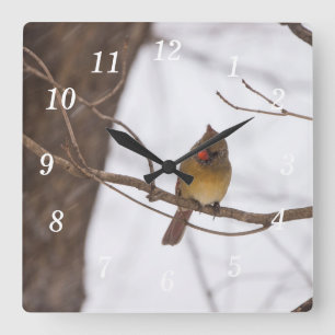 Nochmal schneit, sagt Kardinal Wall Clock Quadratische Wanduhr