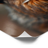 Nochmals schnappen - Eichhörnchenbild Poster (Ecke)