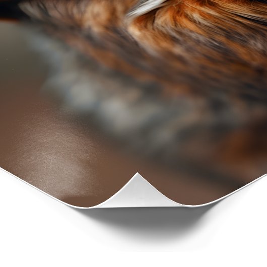 Nochmals schnappen - Eichhörnchenbild Poster (Ecke)