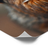 Nochmals schnappen - Eichhörnchenbild Poster (Ecke)