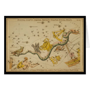 Noctua, Corvus, Hydra, Felis, Lupus, Centaurus, &c