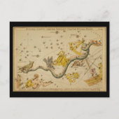 Noctua, Corvus, Hydra, Felis, Lupus, Centaurus, &c Postkarte (Vorderseite)