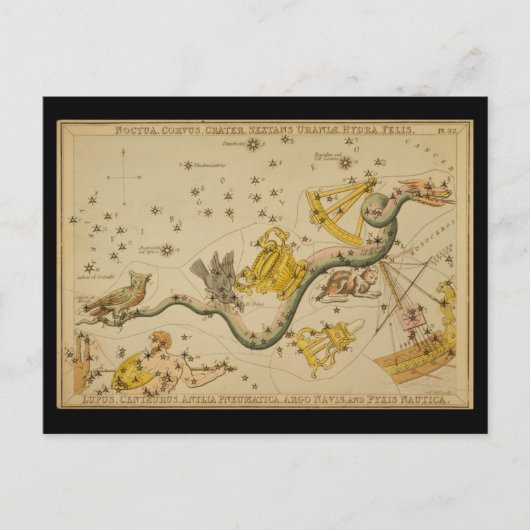 Noctua, Corvus, Hydra, Felis, Lupus, Centaurus, &c Postkarte (Vorderseite)