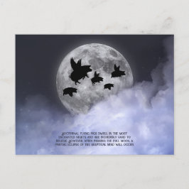 Nocturnal fliegende Schweine Postkarte