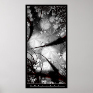 Nocturnal Poster