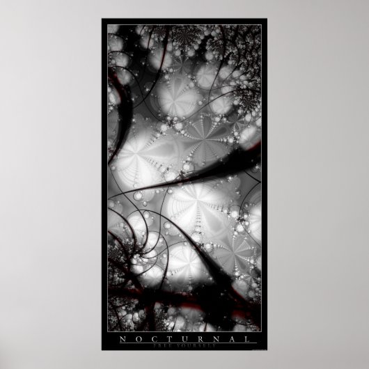 Nocturnal Poster (Vorne)